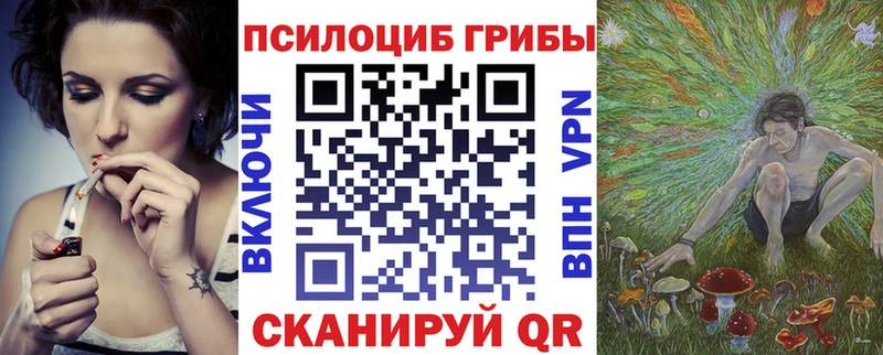 Псилоцибиновые грибы мухоморы  дарк нет клад  Новая Усмань  закладки 