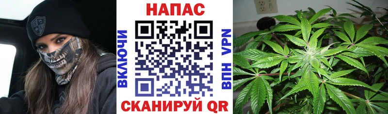 Бошки Шишки Bruce Banner Новая Усмань